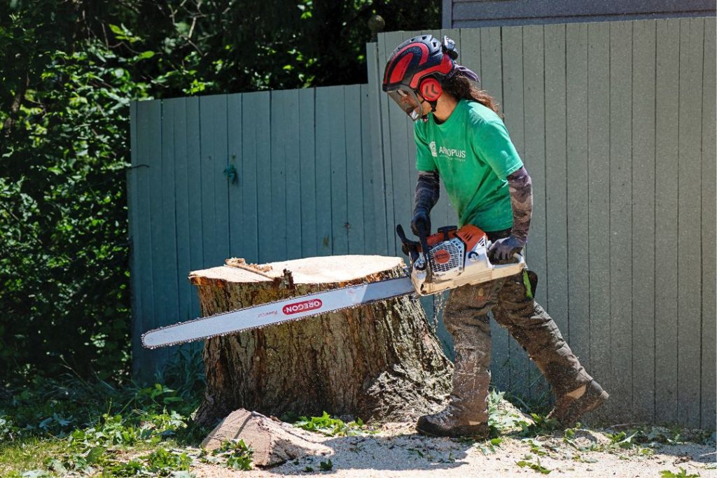 Arboriculteur professionnel faisant un abattage par le pied